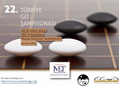 22. Türkiye Go Şampiyonası